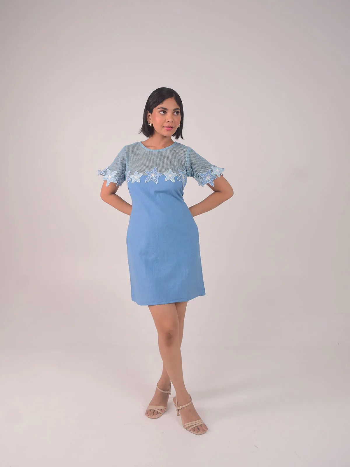 Demi Embroidered Applique Dress