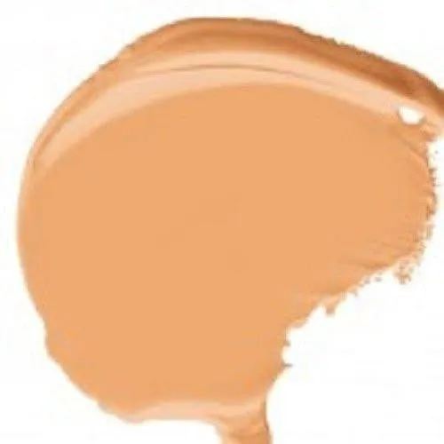 Dermacol Waterproof Make Up Cover