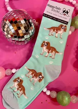 E&S Pets-Cavalier King Charles Socks