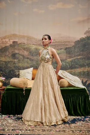 Gold Chanderi Gota Work Skirt Set