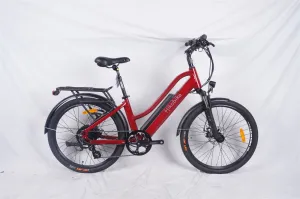 Hiko Pulse Bike 24" Red
