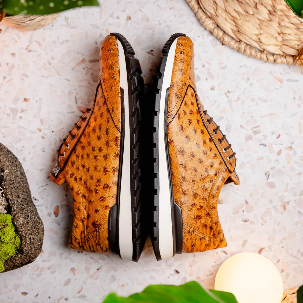 Marco Di Milano Scanno Antique Paja Ostrich Quill Sneakers