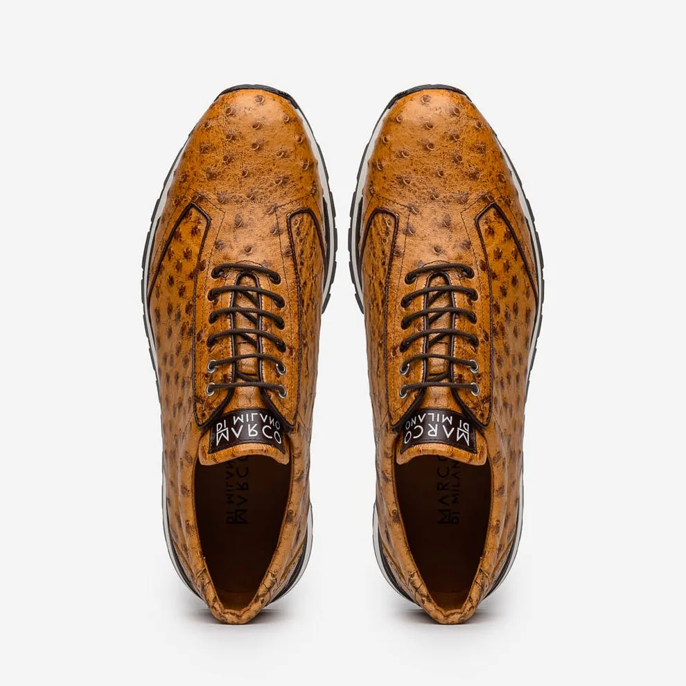 Marco Di Milano Scanno Antique Paja Ostrich Quill Sneakers