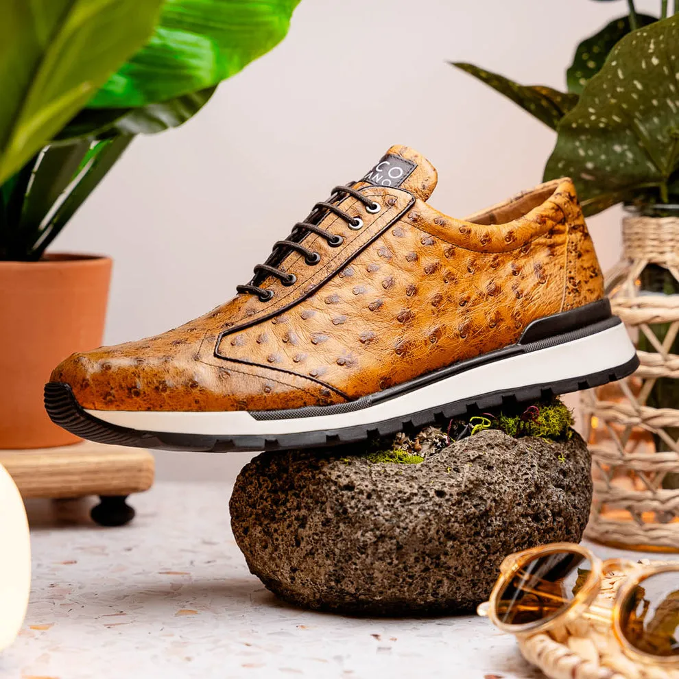 Marco Di Milano Scanno Antique Paja Ostrich Quill Sneakers