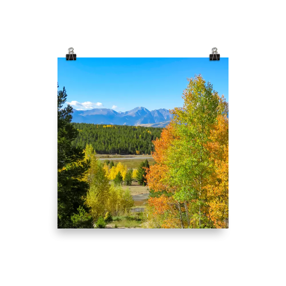 Mountain range with changing aspen in foreground - print