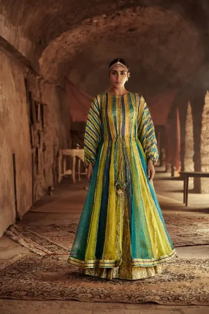 Multi-Colored Silk Organza Embossed Lampi Kaftan Set