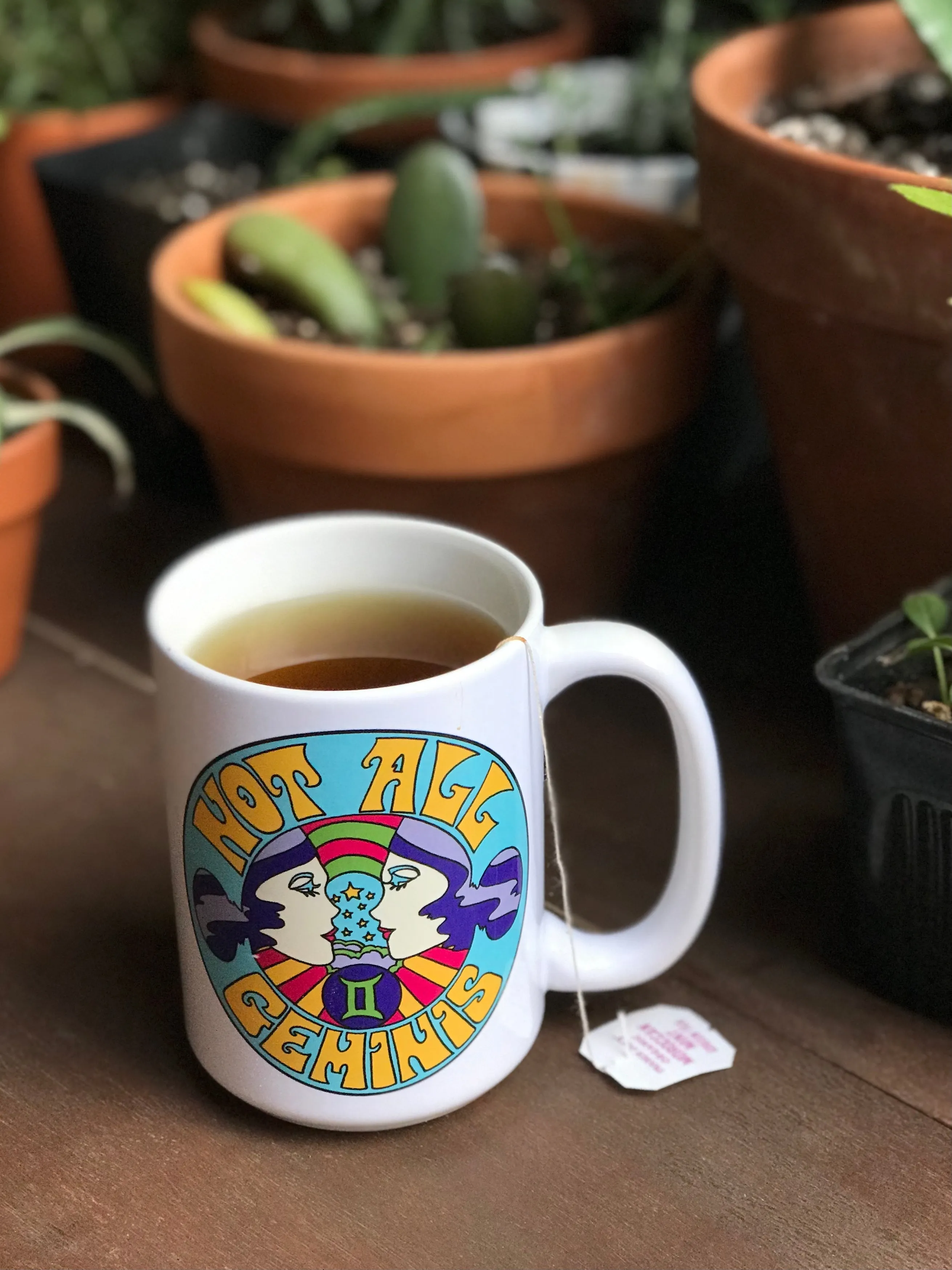 Not All Geminis Mug