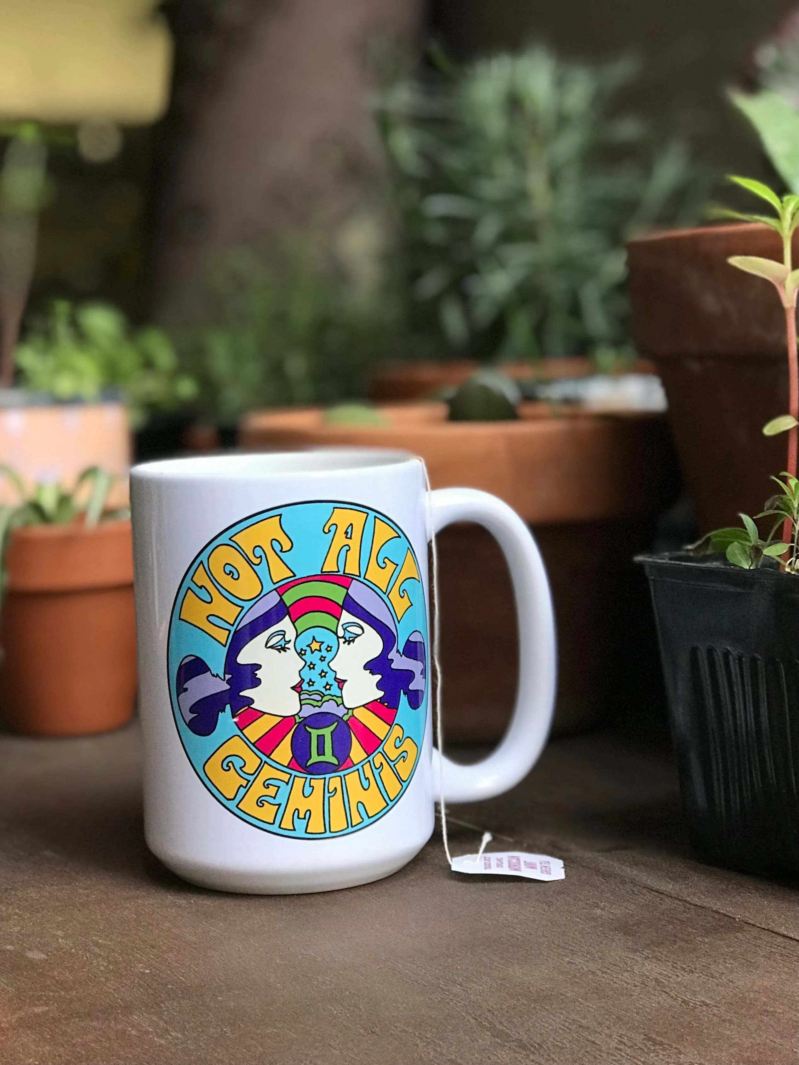 Not All Geminis Mug