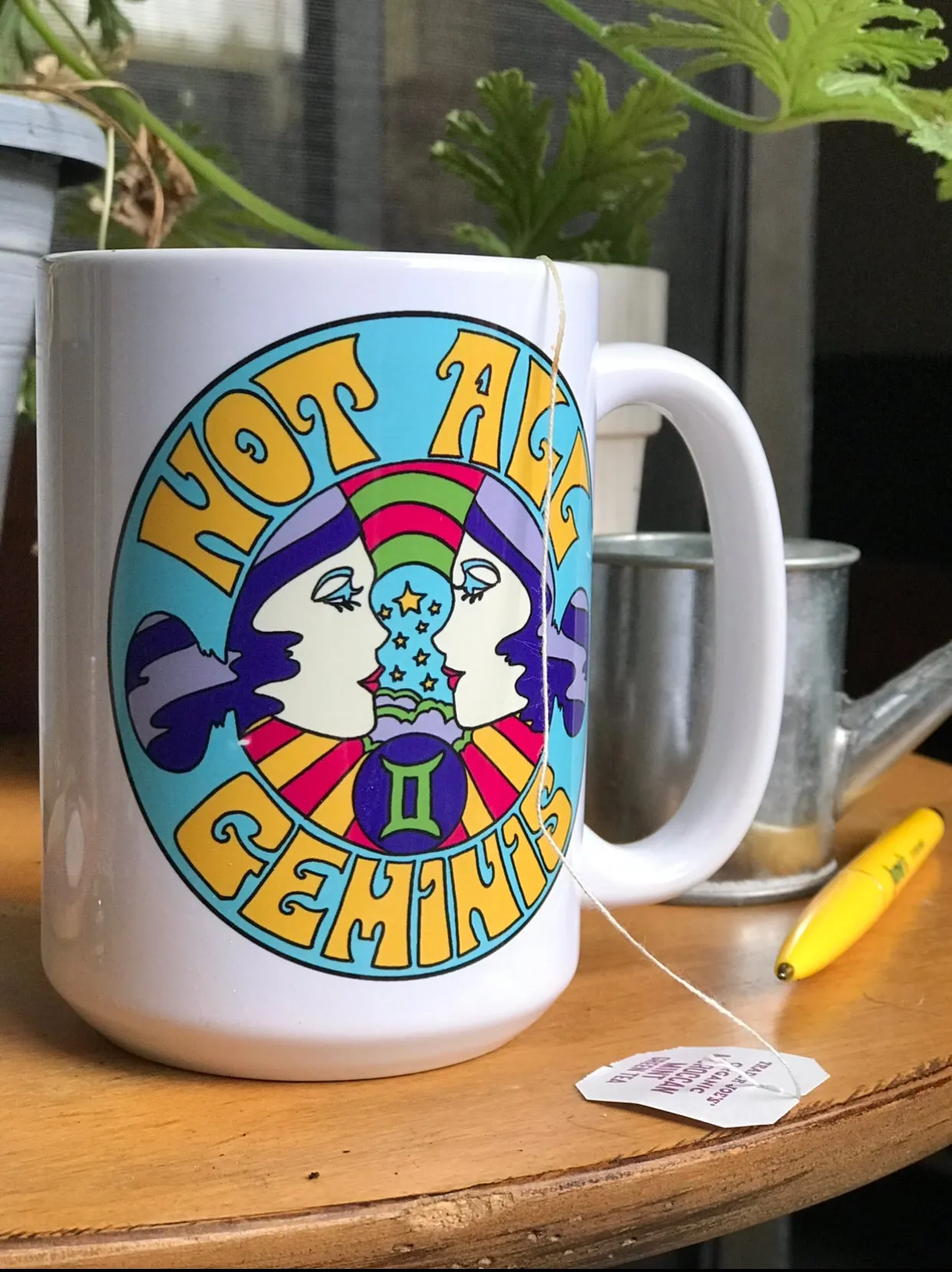 Not All Geminis Mug