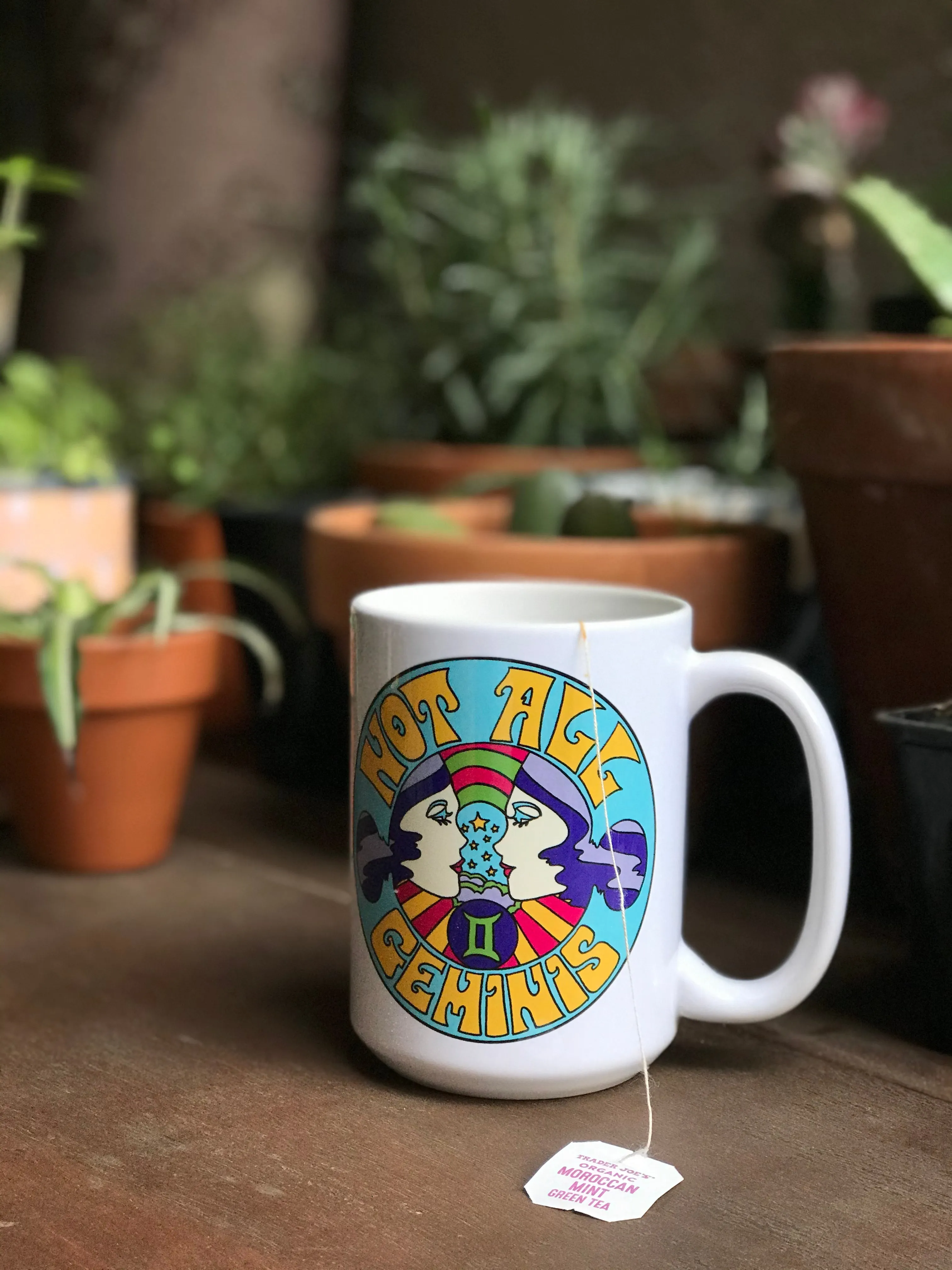 Not All Geminis Mug