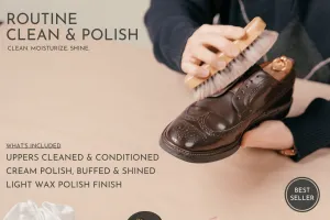Routine Shoe Clean & Polish