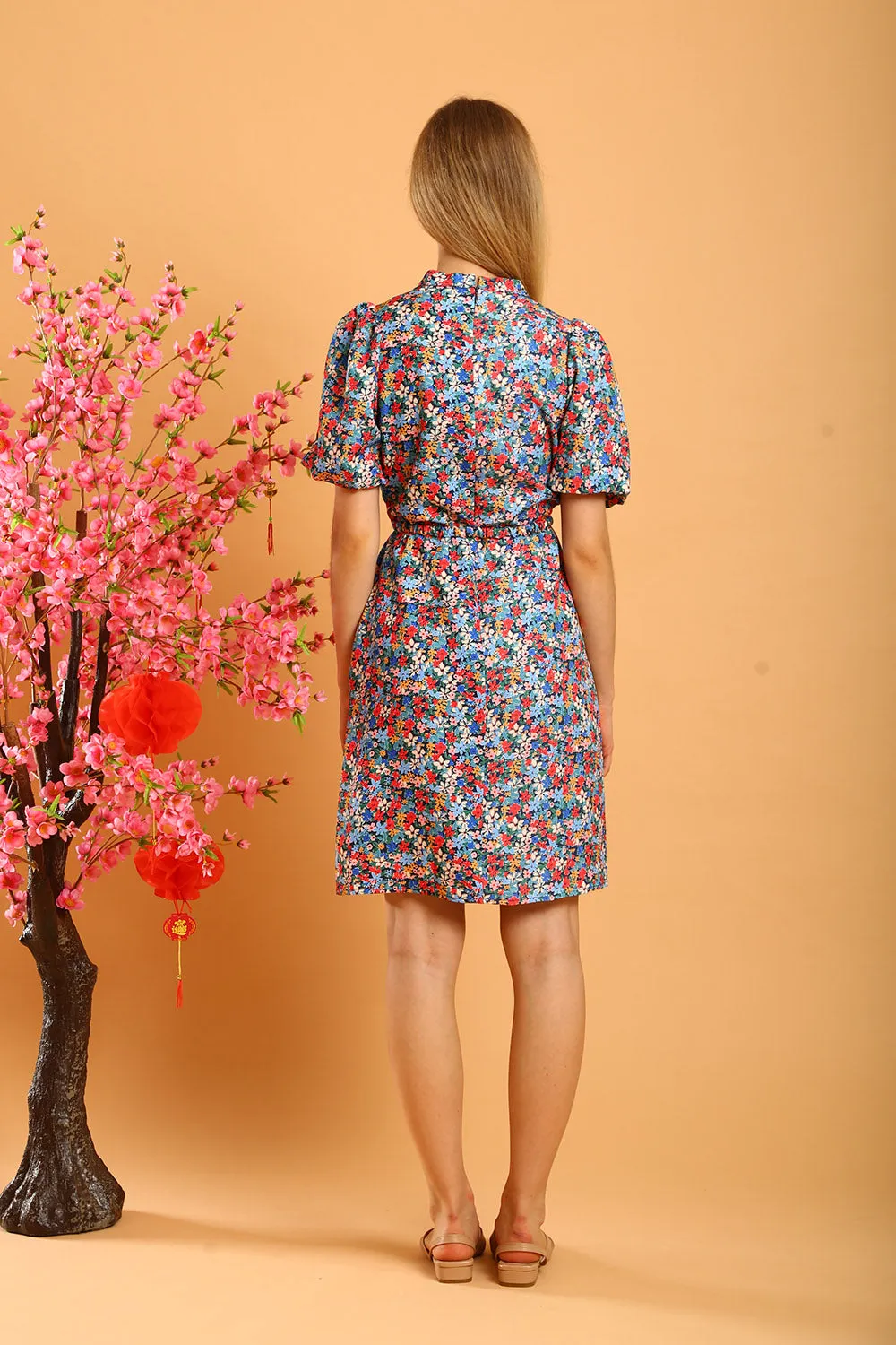 Shaira Cheongsam Dress in Blue/Red Floral